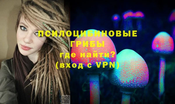 спайс Баксан