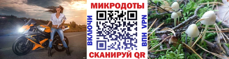 Псилоцибиновые грибы Magic Shrooms  blacksprut онион  Калининец  хочу  