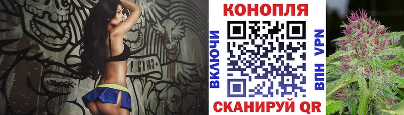 Бошки Шишки план  как найти наркотики  Калининец 